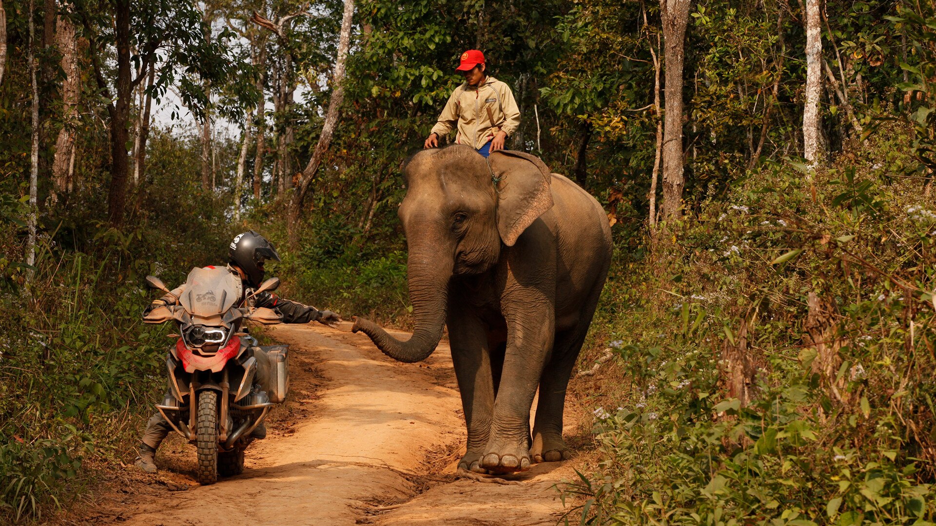 Laos