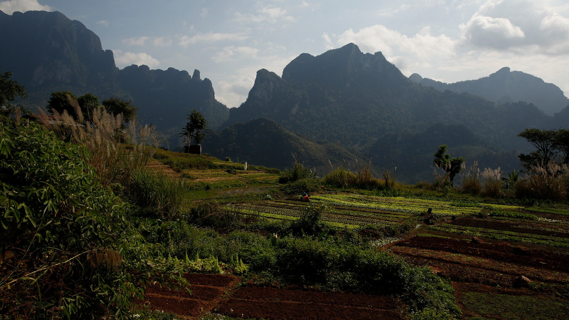 Laos