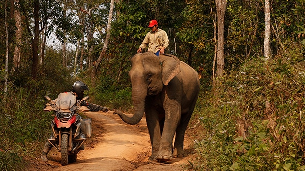 Laos