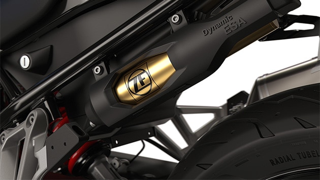 The Dynamic ESA of the F 800 GS